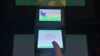 Pokeradar Pokemon Platinum Kyogre Chain Of 8 Fail Pokedex 382 Noosa North Shore 4WD [upl. by Wester]