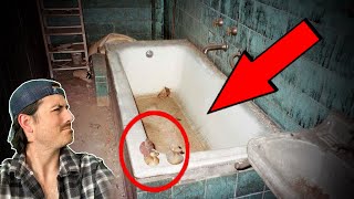 Top 3 photos with DISTURBING backstories  Part 10 [upl. by Erme]