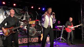 MARTY WILDE amp THE WILDCATS Jezebel WILDEST CATS IN TOWN XMAS 2017 Pontins Pakefield [upl. by Chanda]