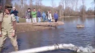 Trout Stocking Walter Wirth Lake 2016  Fishing [upl. by Yelahs]