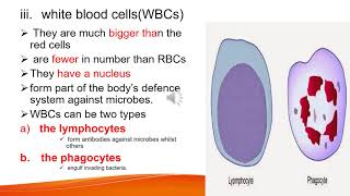 Biology Grade 9 unit 3 part thirteen [upl. by Borgeson316]