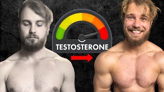 Boost Testosterone Naturally My Journey to Over 900 ngdL [upl. by Hatfield]