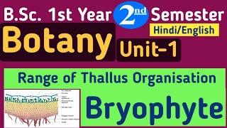 Range of Thallus OrganisationRange of thallus organisation in BryophytesBSc 1st Year 2nd Semester [upl. by Varien]