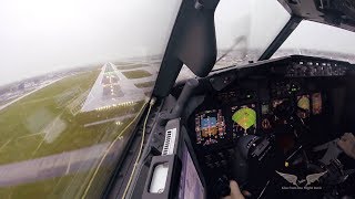 Stormy crosswind landing in LGW  Boeing 737 Captains view [upl. by Hubble]