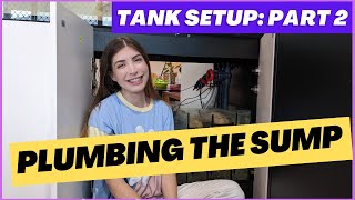 Setting up a freshwater sump  My New Waterbox Aquarium Part 2 [upl. by Robena]