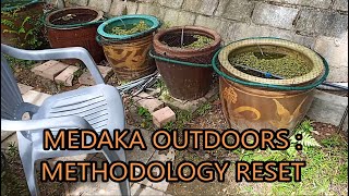 medaka rice fish outdoors  methodology reset [upl. by Elleunamme325]