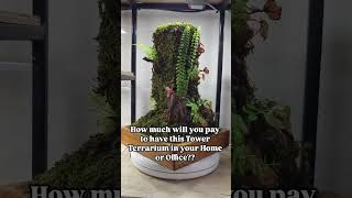 CREATE Your Own Mini Tower Terrarium Like a Pro [upl. by Skyler]