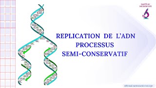 Réplication de lADN  1ère Spé SVT 2ème bac PC et SVT [upl. by Etsirhc137]