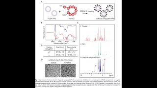 PEGPLGA from PolySciTech used in development of nanoparticles to treat strokeinduced brain injury [upl. by Delsman]