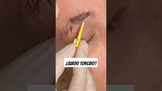 WOW Cejas laminadas 😳🥴 cejaspasoapaso cejas viral lashes lashextensions pestañas parati [upl. by Amahcen]