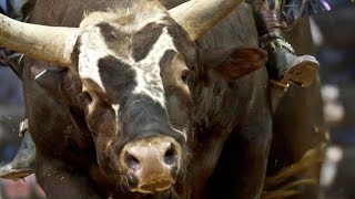 2014 PBR Season Recap World Champion Bushwacker [upl. by Enajiram]