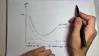 Coût moyen coût variable moyen et coût fixe moyen  microéconomie S2 [upl. by Hahsi]