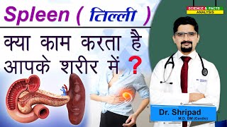 Spleen क्या काम करता है आपके शरीर में   What does spleen do in your body [upl. by Ajnin295]