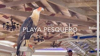 Cuba Holguin  Playa Pesquero Resort  Vacation Video  Snorkel [upl. by Sibylle453]