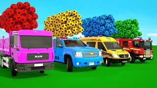 Bingo Song  The Wheels on The Bus Song Baby cars and soccer ballsBaby Nursery Rhymes amp Kids Songs [upl. by Destinee]