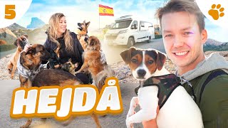 RÄDDAR HEMLÖS HUND I SPANIEN  DEL 5  S1 [upl. by Asaert359]