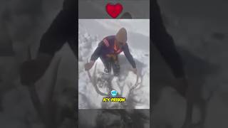 Soldier Rescue Life of Frozen Deer 😱 [upl. by Linus978]