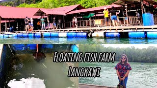 Floating Fish Farm Stingray Feeding Mangrove Forest Tour Langkawi Malaysia [upl. by Repooc]