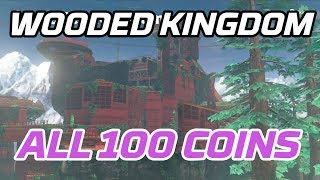 Super Mario Odyssey All Wooded Kingdom Coins 100 purple local coins [upl. by Barcroft591]