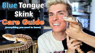 Blue Tongue Skink Care Guide EVERYTHING you need to know [upl. by O'Kelly]