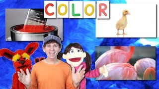 What Color Is it Song For Kids  Learn with Matt  Learn English Kids [upl. by Kerekes90]