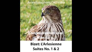 Bizet LArlesienne Suite No 2 IV Farandole  C HAWKENSPIEL [upl. by Donela]