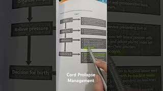 Cord Prolapse Management Part 2 [upl. by Frendel]