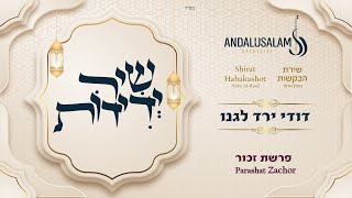 תזמורת אנדלוסאלם • שיר ידידות  דודי ירד לגנו  Andalusalam Orchestra • Shir Yedidot  Dodi Yarad [upl. by Nnaesor395]