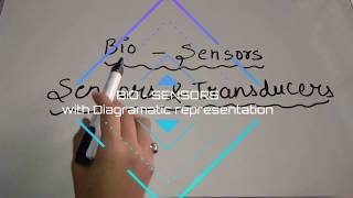 Bio Sensor explanation with Diagramatic representation [upl. by Ilenna]