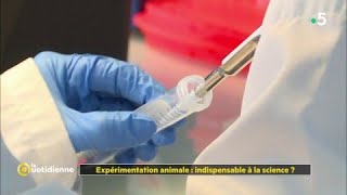 Expérimentation animale  indispensable à la science [upl. by Aicilf]