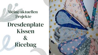 Nähprojekte dresdenplate cushion aus dem Buch quiltpetite amp ricebag pamistyle [upl. by Graaf]