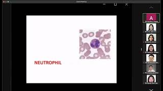 Non Neoplastic WBC Disorders [upl. by Tillio113]