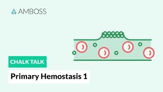 Primary Hemostasis  Part 1 Platelet Adhesion [upl. by Hadden]