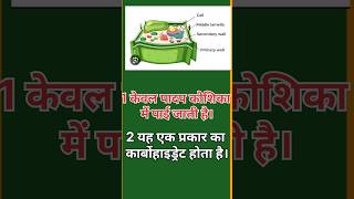 pi planet ssc bank ntpccbt2 mts maths exam [upl. by Madelin]