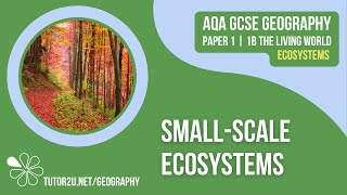 Smallscale Ecosystems  AQA GCSE Geography  Ecosystems 3 [upl. by Heilman465]