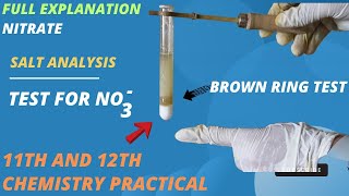 Test for nitrate ion No3  brown ring test  class 11th and 12th Salt analysis saltanalysis [upl. by Neirad687]