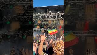 Skip Marley  Is This Love  Live at Festival No Logo Bzh 2024  HD [upl. by Leanora203]