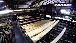 Collums Lumber Products LLC  Sawmill Tour [upl. by Tigirb764]