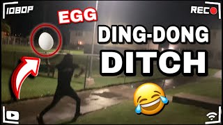 HALLOWEEN SPECIAL Playing DINGDONG DITCH and EGGING People Houses 😂 🥚 VLOG [upl. by Nylla]