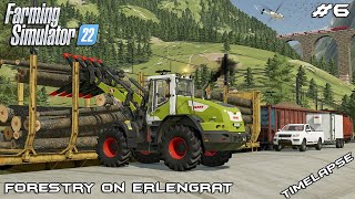 Loading TRAIN with everything  220000 €  Forestry on ERLENGRAT  Farming Simulator 22  Episode 6 [upl. by Chara]