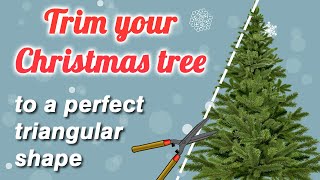 Christmas tree trimming tutorial how to trim your real Christmas tree to a more triangular shape [upl. by Ellatnahc556]