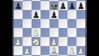 Schach WM 2013 Partie 5  Analyse [upl. by Aniuqaoj]