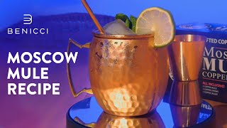 Moscow Mule Recipe with Benicci Pure Copper Mugs  Hammered and Handcrafted [upl. by Pasquale767]