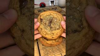 24h chocolate chip cookies  🍪 easyrecipe cookies [upl. by Fortunio57]