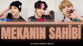 Bangchan amp Changbin amp Han  Mekanın Sahibi AI Cover [upl. by Arikihs]