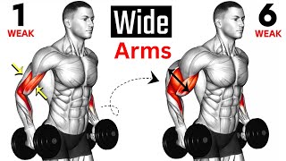 5 BEST Exercises for WIDER ARMS [upl. by Josephine162]