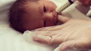 How To Use a Syringe To Feed a Newborn [upl. by Latona]