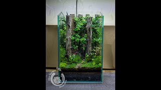 Tutorial  Build a Terrarium forest layout  Làm terrarium rừng [upl. by Meridith]