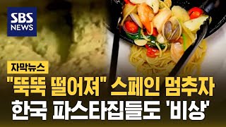 quot뚝뚝 떨어져quot 스페인 멈추자…한국 파스타집들도 비상 자막뉴스  SBS [upl. by Enneiluj]