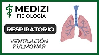 Clase 37 Fisiología Respiratoria  Ventilación Pulmonar IGdoctorpaiva [upl. by Shirberg]